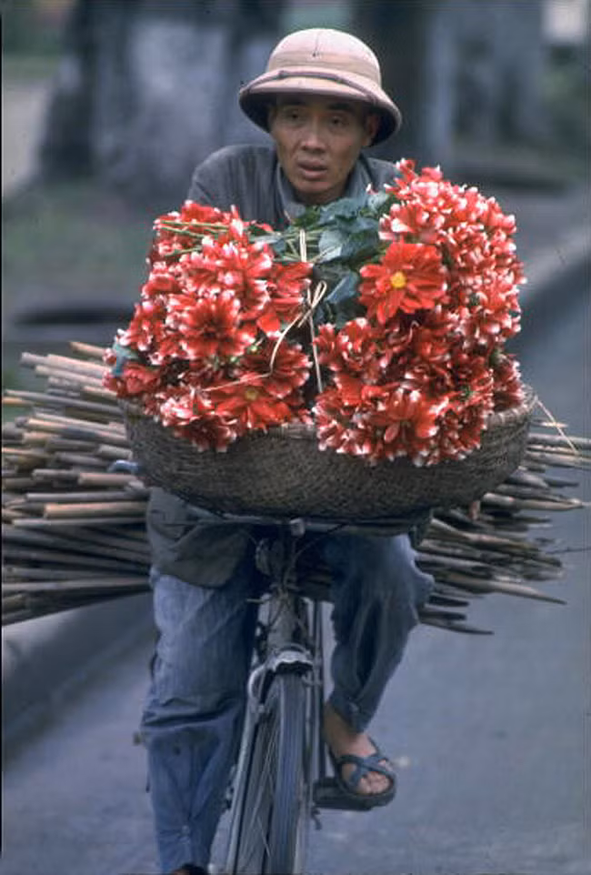 Người bán hoa chở hoa thược dược và những cây sậy để đan rổ rá.