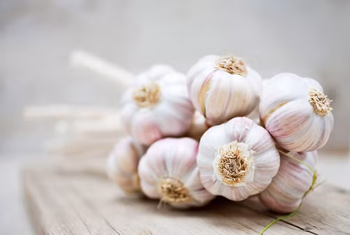 Tỏi cũng thúc đẩy quá trình lành vết thương, phục hồi da diễn ra nhanh hơn. Khi thực hiện, bạn chỉ cần đập dập tỏi rồi bôi trực tiếp lên vị trí bị mụn rồi rửa sạch.