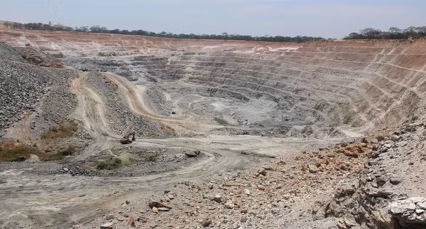 Theo các chuyên gia nhận định, Inkalamu đã nằm trong lòng đất khoảng 450 triệu năm cho đến khi được tìm thấy.