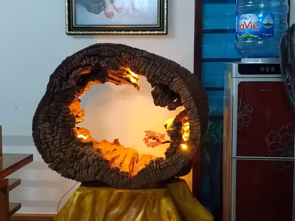 Đặc biệt, phần rễ của cây nhai bách, còn được gọi là gỗ lũa, thường có hình dáng rất độc đáo bởi chúng phải bám vào đá để sinh trưởng trong điều kiện vô cùng khắc nghiệt, được dùng rất nhiều để tạo nên các tác phẩm điêu khắc nghệ thuật tinh xảo.