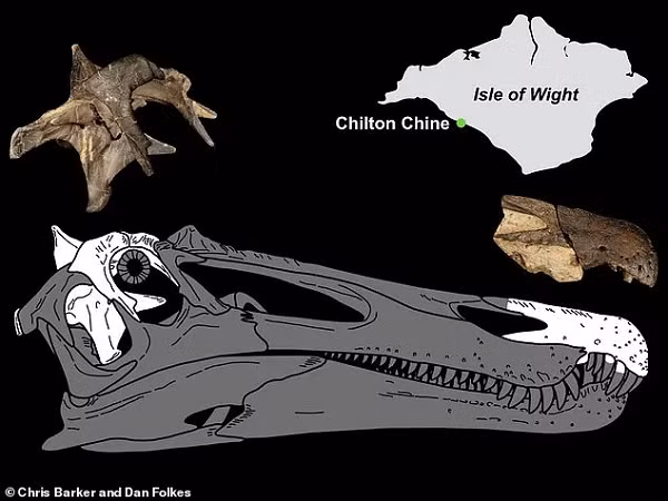 Cả hai đều là hiện thân của các loài khủng long Spinosaurid ban đầu, họ hàng của loài Spinosaurus lưỡng cư mặt cá sấu kỳ lạ.