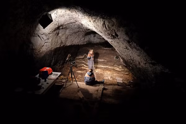 Theo suy đoán "loài người ma" này có thể có bạn tình là người Neandethals và người Denisovans, sau đó đã truyền dòng máu cho họ.