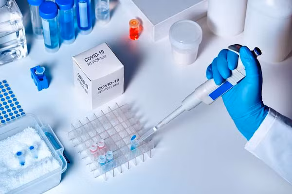 Trước đây, giáo sư Wang từng nói về các đột biến của coronavirus và khả năng lây truyền từ người sang động vật hồi tháng 7. Ông cho rằng nguy cơ xuất hiện chủng virus mới là điều hiển nhiên, nhưng rất khó để dự đoán thời điểm xuất hiện và sự phức tạp của cuộc chiến chống lại nó.