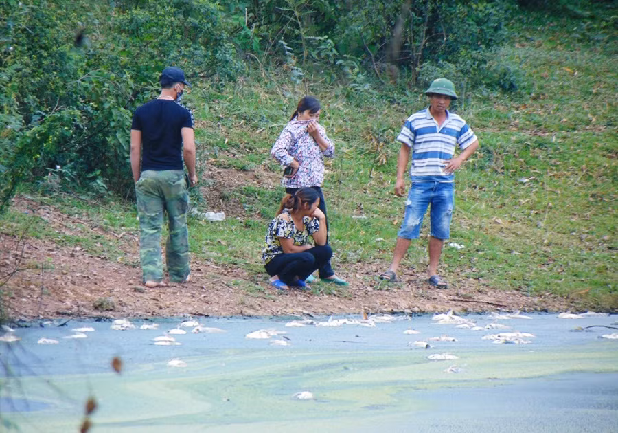 “Người dân chúng tôi bức xúc từ lâu, đơn thư đã gửi khắp các cấp và báo chí vì ô nhiễm không khí, mùi hôi thối nồng nặc suốt ngày đêm và ô nhiễm nguồn nước. Dòng nước bẩn này sẽ theo hồ trôi về hạ lưu và ai cũng có thể trở thành nạn nhân chứ không chỉ người dân quê tôi đâu...”, - chị Nguyễn Hà (người dân) bức xúc nói.