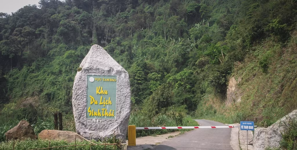 Đường vào rừng khá khó đi. Tuy nhiên khung cảnh vô cùng hoang sơ, yên tĩnh, quanh năm mây mù bao phủ. Xe máy chỉ có thể đi đến trạm dừng chân cách bìa rừng khoảng 3 km. Từ đây, tất cả các hành trình đều phải đi bộ.