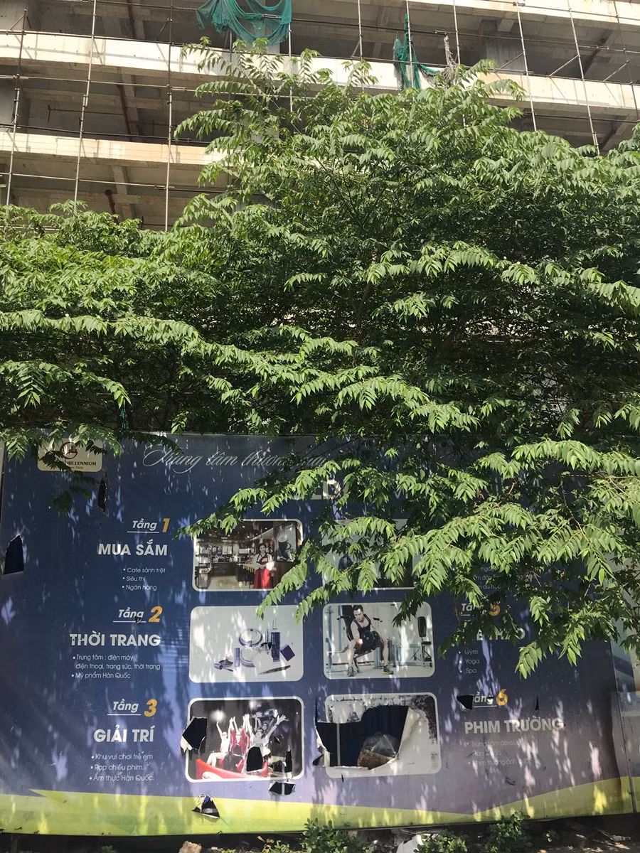 Dự án này được quảng cáo căn hộ 5 sao, nhưng nhìn vào những tấm biển quảng cáo rách nát tả tơi đặt phía trước dự án ai nấy cũng ngán ngẩm