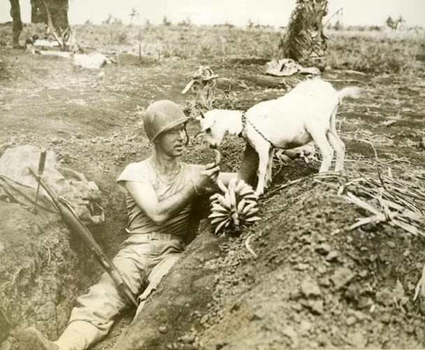 Người lính này đang chia sẻ đồ ăn với một chú dê.