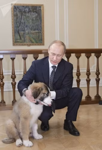 Ông Putin chơi với Buffy tại căn hộ của ông ở Novo-Ogaryovo gần Moscow.
