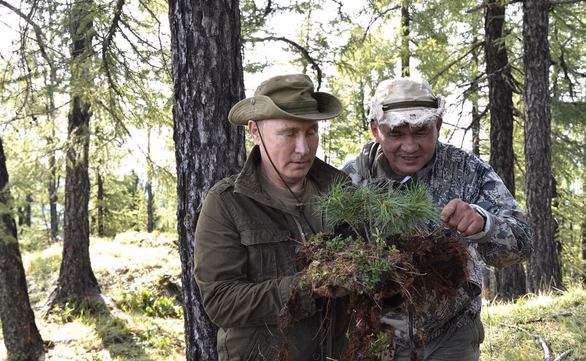 Hình ảnh Tổng thống Putin và Bộ trưởng Quốc phòng Sergei Shoigu đang nghiên cứu một loại cây giống lá kim để trồng cây. Ảnh: Điện Kremlin.