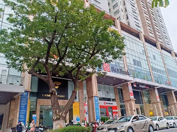Vi sao 9 thua dat cua hai cong ty o Da Nang bi thanh tra?