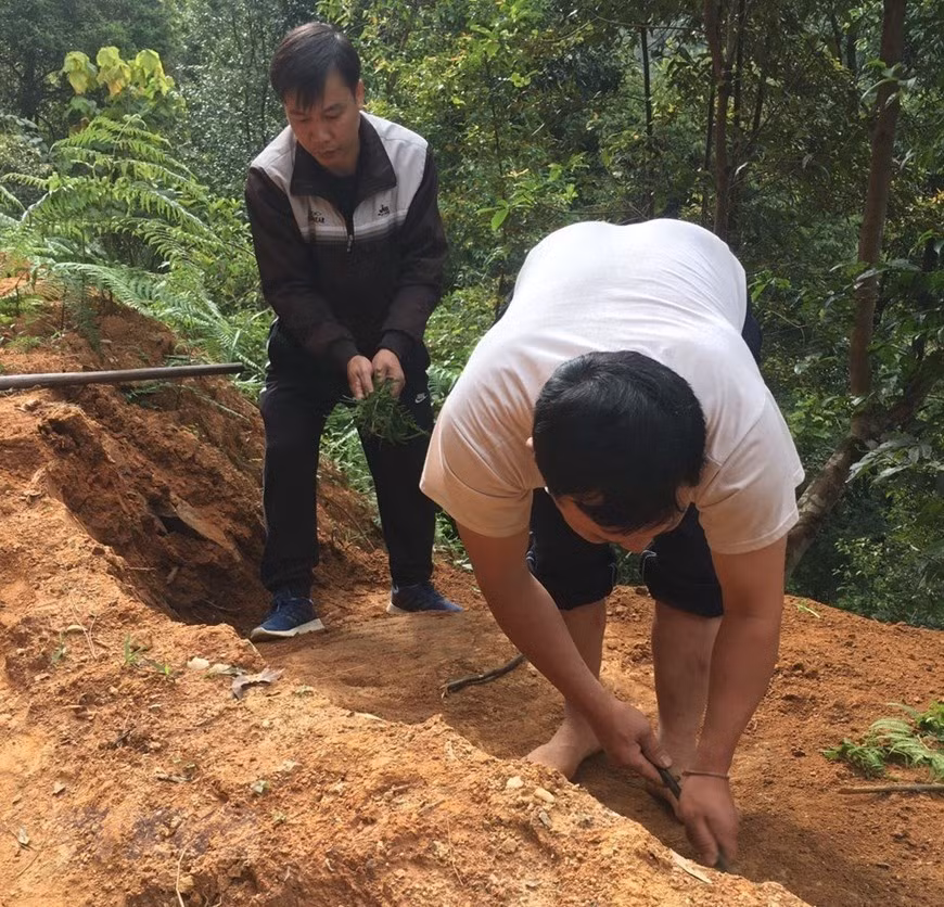 Những khối đá khắc cổ mới phát hiện có mặt phẳng hơi lồi, trên bề mặt khắc phủ kín các loại hình gồm: hình tròn lõm, hình thoi lõm, hình tròn lồi đồng tâm lớn, hình học và hình ruộng bậc thang tầng tầng lớp lớp trang trí xung quang rìa của khối đá. Ảnh: TTXVN.
