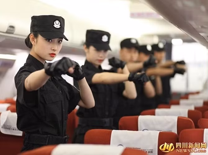 Mục tiêu của ngành là đào tạo tiếp viên hàng không các kỹ năng về an ninh, như phát hiện hành vi nguy hiểm, xác định và xử lý những loại hàng hóa có nguy cơ cao, ngăn chặn và kiểm soát những hành khách quá khích.