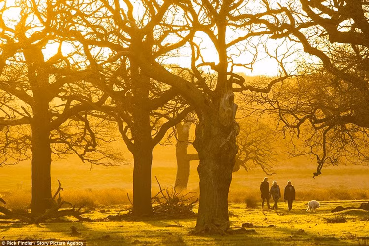 Nhà thờ Ely ở Cambridgeshire Fens trong mùa "Giáng sinh đen" không tuyết trắng.