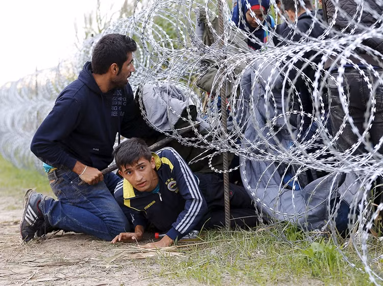 Người tị nạn Syria tìm cách chui rào vào Hungary.