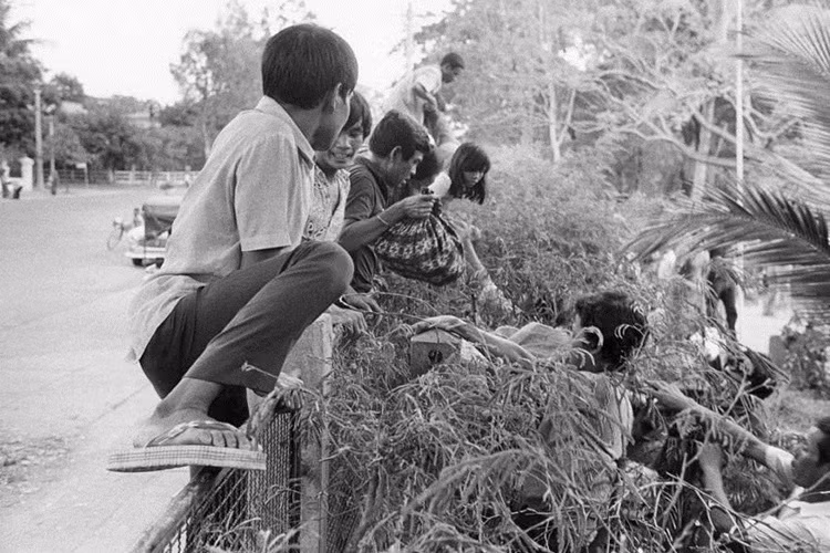 Một số cư dân Phnom Penh vượt rào vào Đại sứ quán Pháp lánh nạn. Phnom Penh, 1975. Ảnh: Getty Images (09)