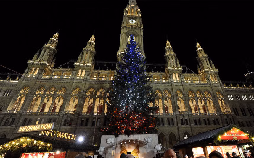Để tưởng nhớ các nạn nhân vụ tấn công khủng bố Paris, cây thông Noel trước Tòa Thị chính Vienna được thắp sáng bằng đèn trang trí 3 màu Xanh-Vàng- Đỏ của quốc kỳ nước Pháp.