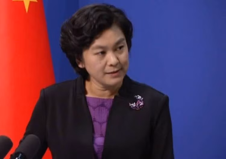 Vi sao Trung Quoc “giau minh cho thoi” trong cuoc chien Syria?-Hinh-2
