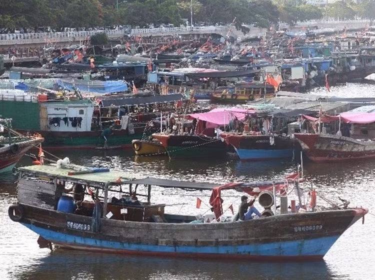 Trung Quốc ngang ngược cấm đánh bắt cá ở Biển Đông từ ngày 16/5 đến ngày 1/8/2015.