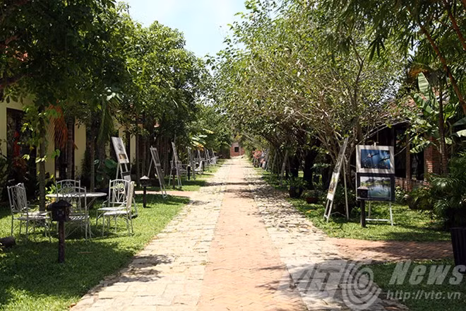 Nơi đây sở hữu những giống dâu tằm cổ thụ.