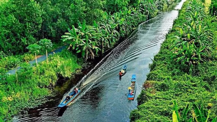 Ngày nay, nhắc đến U Minh Hạ, người ta không chỉ liên tưởng tới bộ phim “Đất phương Nam” nổi tiếng mà còn là những chuyến du lịch sinh thái lý tưởng tìm về “thiên đường xanh” nơi đất mũi phương Nam. Năm 2009 vườn quốc gia U Minh Hạ được UNESCO đưa vào danh sách các khu dự trữ sinh quyển của thế giới và là vùng lõi của Khu dự trữ sinh quyển mũi Cà Mau.