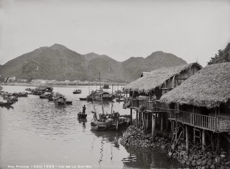 Làng chài và những thuyền chài ở Cát Bà.
