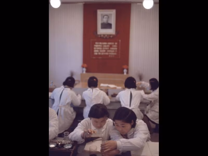 Các nữ sinh trong giờ thực hành môn hóa học.