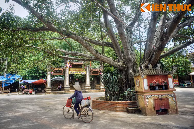 Quần thể kiến trúc của chùa Tây Phương bắt đầu từ chân núi Câu Lâu, với công trình đầu tiên là Tam quan hạ.