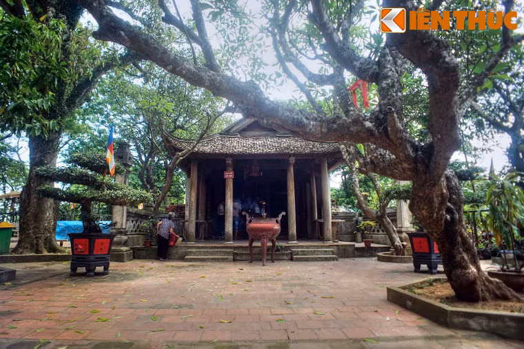 Có thể nói, chùa Tây Phương là một trong những ngôi chùa cổ độc đáo nhất Việt Nam, với sự kết hợp giữa kiến trúc truyền thống, các tác phẩm nghệ thuật đặc sắc và cảnh quan thiên nhiên tươi đẹp. Vào năm 2014, chùa đã được công nhận là Di tích Quốc gia đặc biệt của Việt Nam.