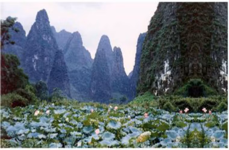  Để khắc phục được hai yếu điểm này trước tiên phải xây thành về phía nam của núi để tránh lưng kề vào Trường Giang, chính vì thế bọn họ đã định huyệt vị vào phía nam ở núi Chung Sơn, mục đích là lấy dương thắng âm, tức là làm cho tân cung thành chuyển thành dương trong âm, họ cũng tránh không xây tân cung thành trùng với trục của cung thành cũ lục triều mà chuyển hẳn tân cung thành sang phía đông của thành cũ, mục đích dẫn linh khí của Chung Sơn nhập tân cung. Ảnh minh họa: Núi Chung Sơn. 