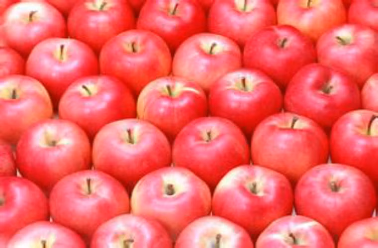  Chính vì thế các mẹ đừng quên chọn táo cho thực đơn hàng ngày của mình. 