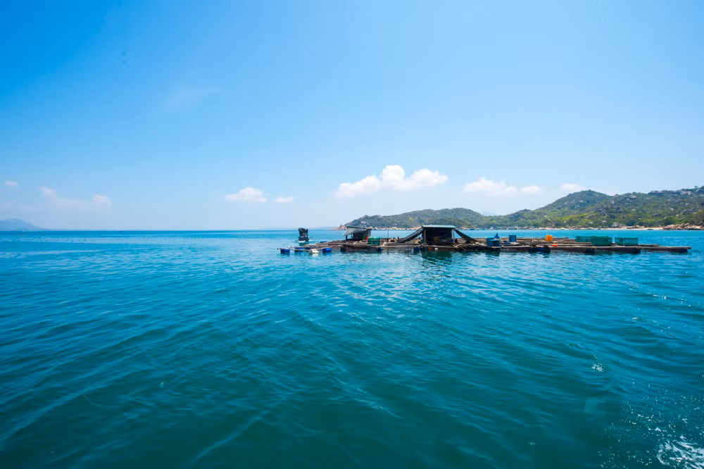 Khung cảnh thơ mộng với bãi cát trắng trải dài, nước biển xanh trong khiến Robinson không khác gì một Maldives thu nhỏ của Việt Nam với cầu tàu, căn nhà nổi trên biển….