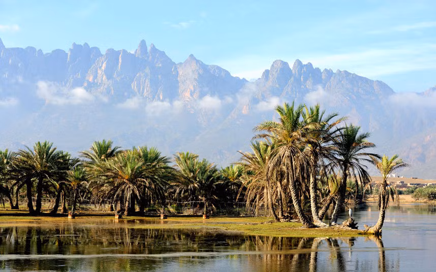Quần đảo Socotra nằm ngoài Ấn Độ Dương, cách Châu Phi 150 dặm về phía Bắc là một quần đảo thuộc chủ quyền của nhà nước Yemen với hệ thực vật đặc thù.