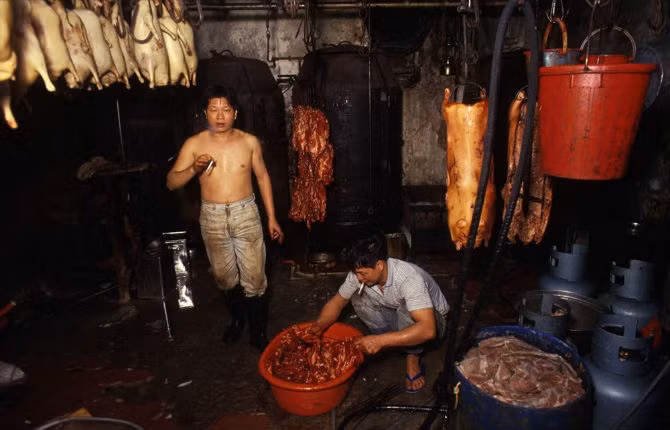 Vệ sinh là vấn đề rất ít quan trọng tại thành phố, và cũng không có điều luật nào quản lý việc giữ vệ sinh hay bảo đảm an toàn cho người dân.