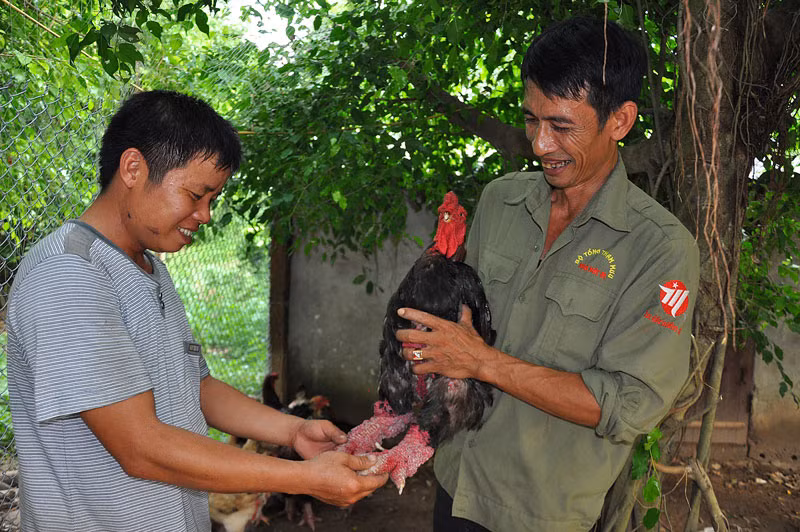 Ông Miền (phải) đang trao đổi kinh nghiệm nuôi gà quý Đông Tảo với khách mua.