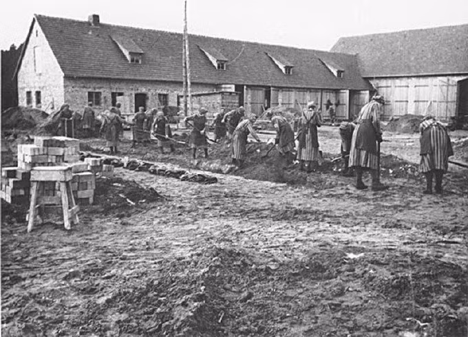 Cuối mùa thu năm 1938, trùm phát xít Himmler đã cho xây dựng trại tập trung chủ yếu dành cho phụ nữ ở Ravensbruck. Đến cuối năm 1938, 500 tù nhân đã được chuyển từ trại tập trung Sachsenhausen đến Ravensbruck. Có thời điểm, trại tập trung này là nơi giam cầm 150.000 tù nhân, trong đó có 130.000 người là tù nhân nữ. Trong ảnh là nữ tù nhân ở trại tập trung Ravensbruck lao động khổ sai.