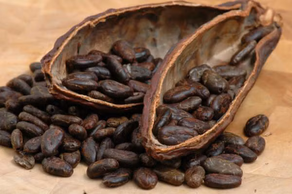 Người Aztec ở Mexico từng sử dụng hạt ca cao như một loại tiền tệ.