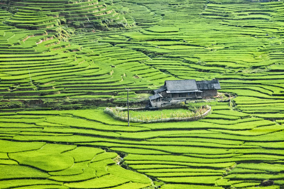 Sapa là một trong những địa danh đẹp nhất Việt Nam. Những thửa ruộng bậc thang tuyệt đẹp và các ngọn núi nguyên sơ hấp dẫn du khách.