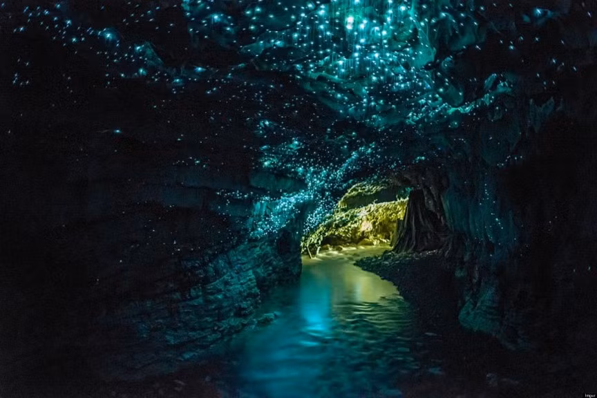 Hang động Waitomo Glowworm thuộc đảo Bắc, New Zealand là nơi cư ngụ của hàng triệu đom đóm tạo nên cảnh sắc thiên nhiên ngoạn mục.