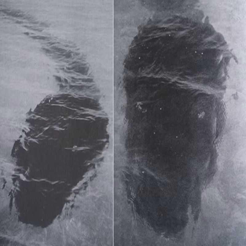 "Quái vật biển" đảo Hook. Năm 1964, nhiếp ảnh gia Robert Le Breton Serrec đã chụp được ảnh sinh vật với hình dáng nòng nọc khổng lồ có chiều dài lên đến 25m bơi chậm rãi tiến về phía họ ở đảo Hook, thuộc vùng Queensland, Australia. Vào thời điểm đó phần mềm chỉnh sửa hình ảnh Photoshop chưa xuất hiện nên nhiều người cho rằng bức ảnh này là thật. Tuy nhiên, nhiều người nghi ngờ về tính xác thực của bức ảnh.