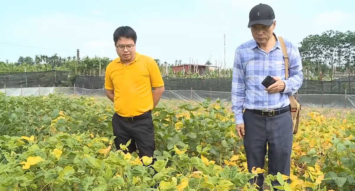 PGS.TS Mai Quang Vinh: Nguoi dua khoa hoc den tan ruong dong-Hinh-2