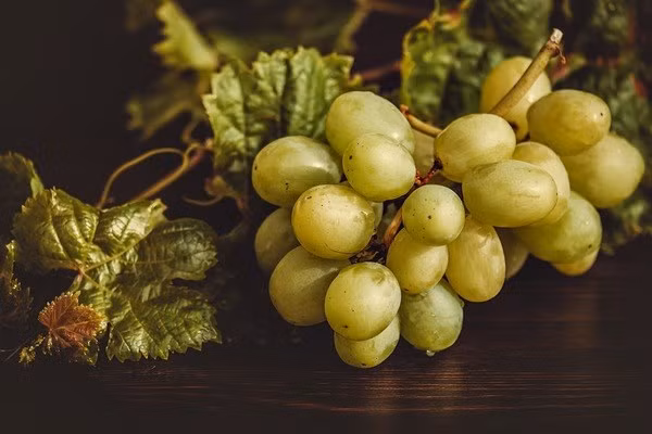 5. Nho Sử dụng nho giúp gan bớt nóng cũng như bảo vệ gan khỏi nhiều chất gây hại. Nhiều nhà khoa học tin rằng ăn nho thường xuyên còn giúp giảm nguy cơ ung thư. Một nghiên cứu nhỏ trên những người sử dụng rượu bia cho tháy việc ăn nho hàng ngày từ 3 đến 4 tháng giúp phục hồi chức năng gan một cách đáng kể.