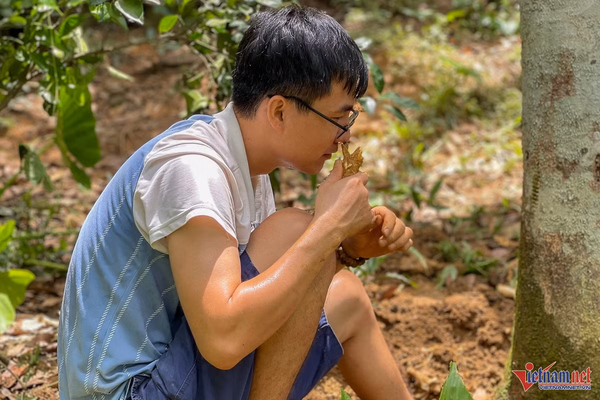 Kỹ sư về quê tìm 'vàng' trong thân cây, thu nửa tỷ mỗi tháng - Hình 2 Ky su ve que tim 'vang' trong than cay, thu nua ty moi thang-Hinh-2
