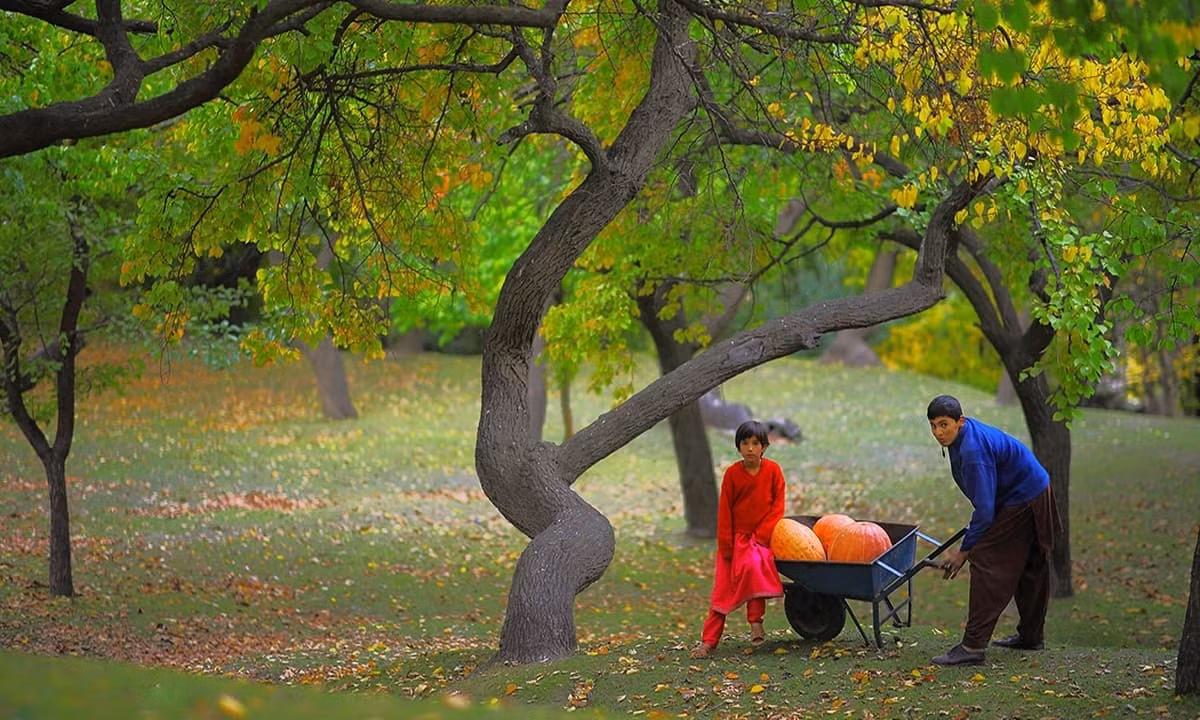 Việc lao động, đi bộ những quãng đường dài hàng ngày giúp người Hunza cải thiện trương lực cơ và sức khỏe của xương, ngăn ngừa chấn thương.