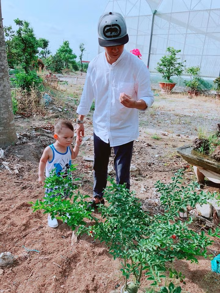 Lý Hải dẫn con trai út ra vườn, cậu bé thích thú chỉ trỏ các loại trái cây.