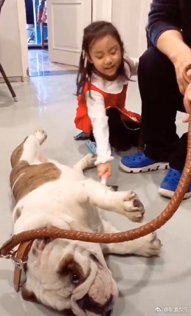 Điềm Hinh vui vẻ chơi đùa cùng chú cún nhỏ trong video.