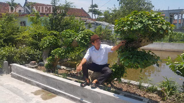"Đây là cây tôi tâm đắc nhất nên dù đã được trả giá trăm triệu nhưng vẫn không bán mà giữ lại để chơi" - ông Túy tâm sự.