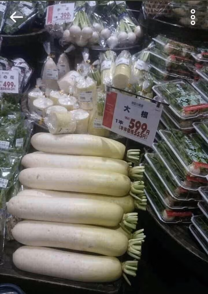 Cu cai Nhat ve VN 250 ngan/kg: Su that muc gia gay soc