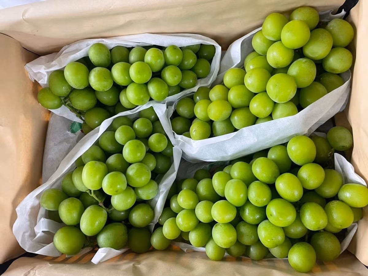 Trái cây "ngoại" la liệt, nhiều loại siêu rẻ chỉ 12.000-20.000 đồng/kg - Hình 2 Trai cay