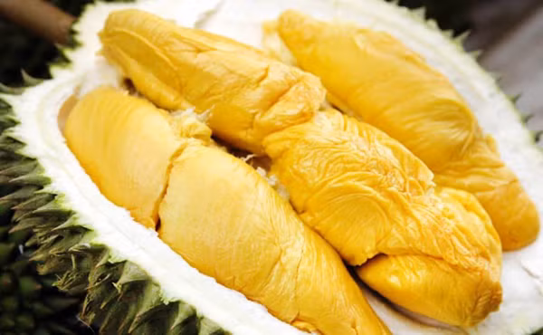 Sầu riêng: Sầu riêng là một trong những loại trái cây bổ dưỡng nhất trên thế giới. Ngoài dưỡng chất có lợi như protein, chất béo, kali, mangan, vitamin A, B6, C, nó còn chứa nhiều hợp chất có lợi như carotenoids, anthocyanin, polyphenol và flavonoid.