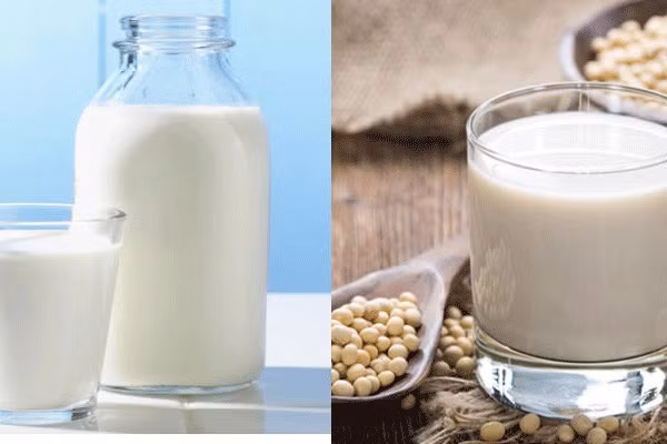 Sữa động vật và đậu nành, loại nào bổ hơn? Sua dong vat va dau nanh, loai nao bo hon?